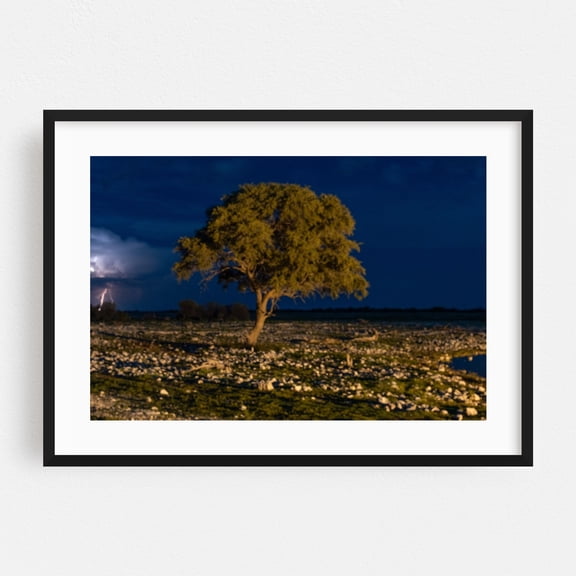 The Tree - Photography Night Sky Landscape Nature Wilderness Scenic Black Framed Wall Art Print 5 x 7 inches