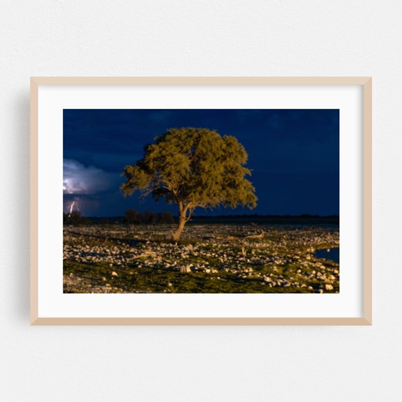 The Tree - Photography Night Sky Landscape Nature Wilderness Scenic Oak Framed Wall Art Print 5 x 7 inches