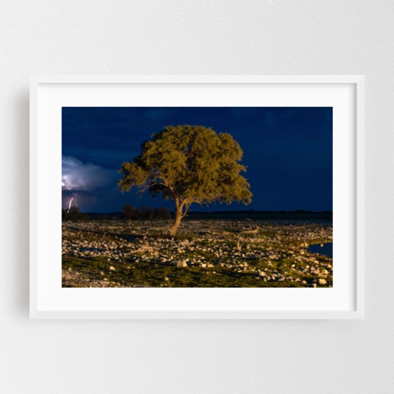The Tree - Photography Night Sky Landscape Nature Wilderness Scenic White Framed Wall Art Print 5 x 7 inches