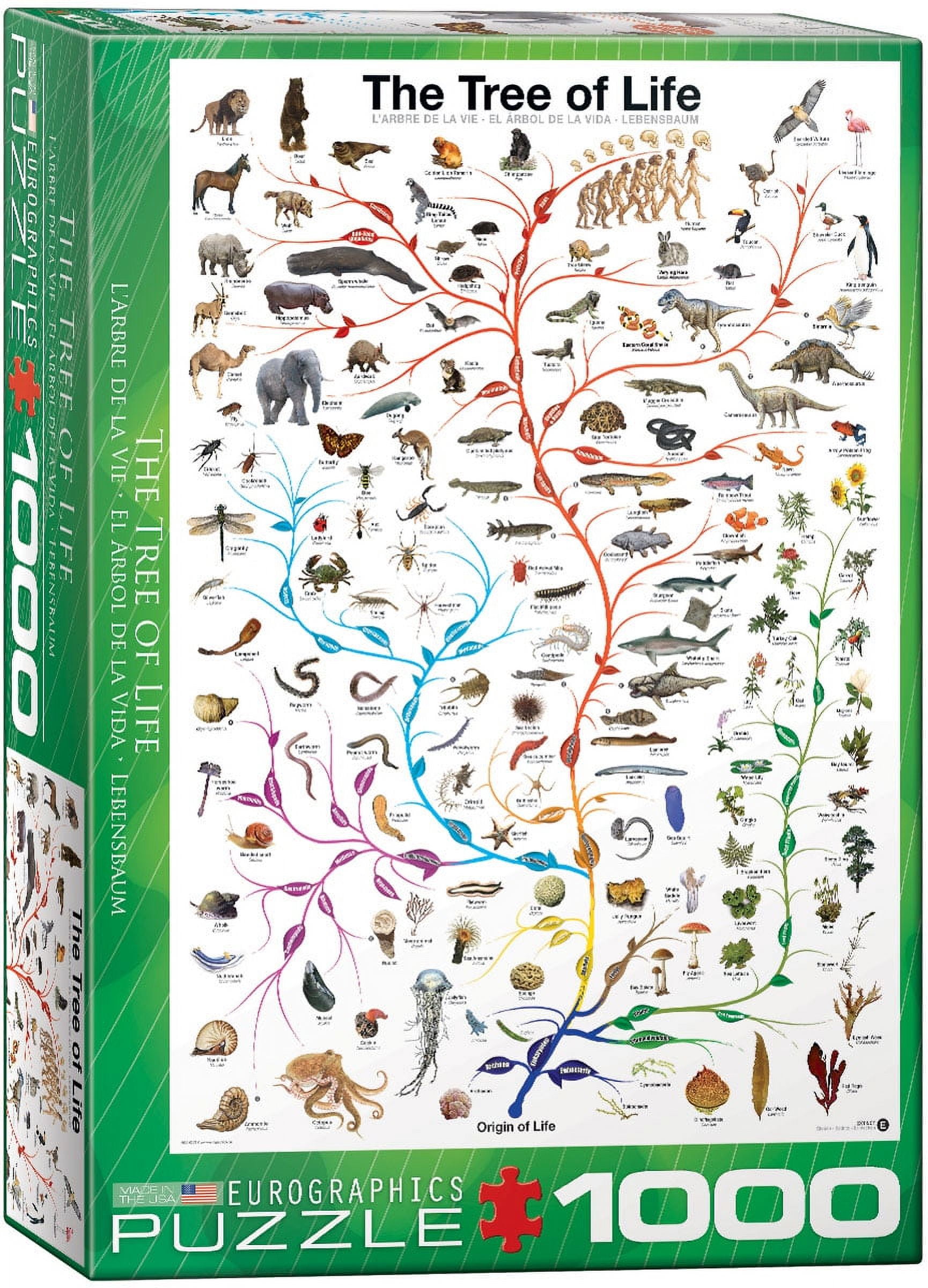The Tree of Life 1000-Piece Puzzle 