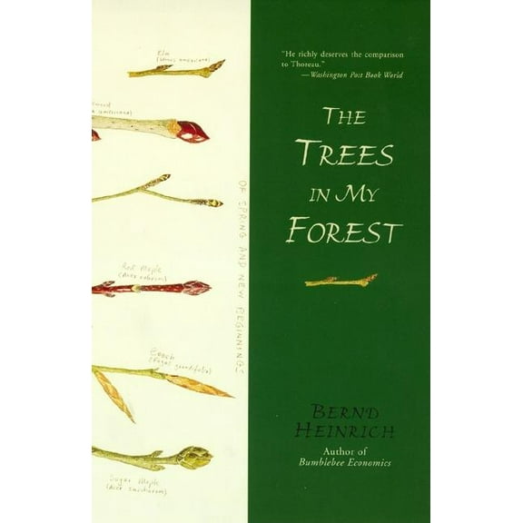 The Trees in My Forest, (Paperback)