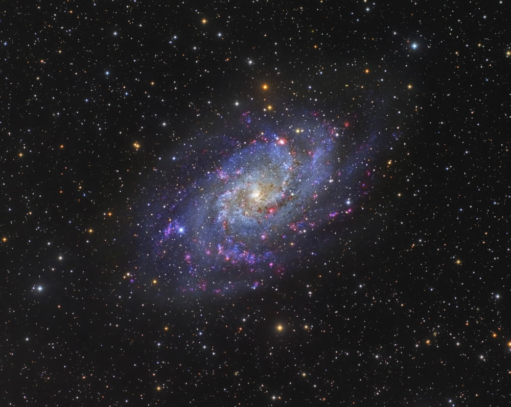 The Triangulum Galaxy Canvas Art - Roberto ColombariStocktrek Images (31 x 25)