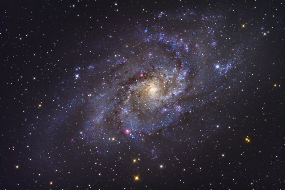 The Triangulum Galaxy Canvas Art - Roth RitterStocktrek Images (18 x 12)