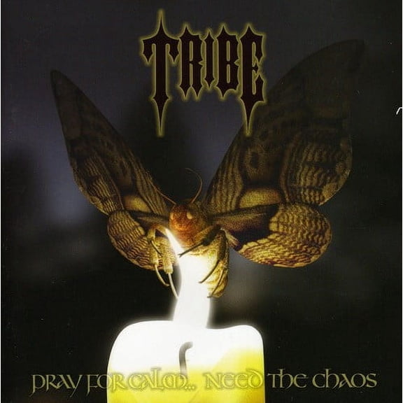 The Tribe - Pray For Calm Need The Chaos - Music & Performance - CD