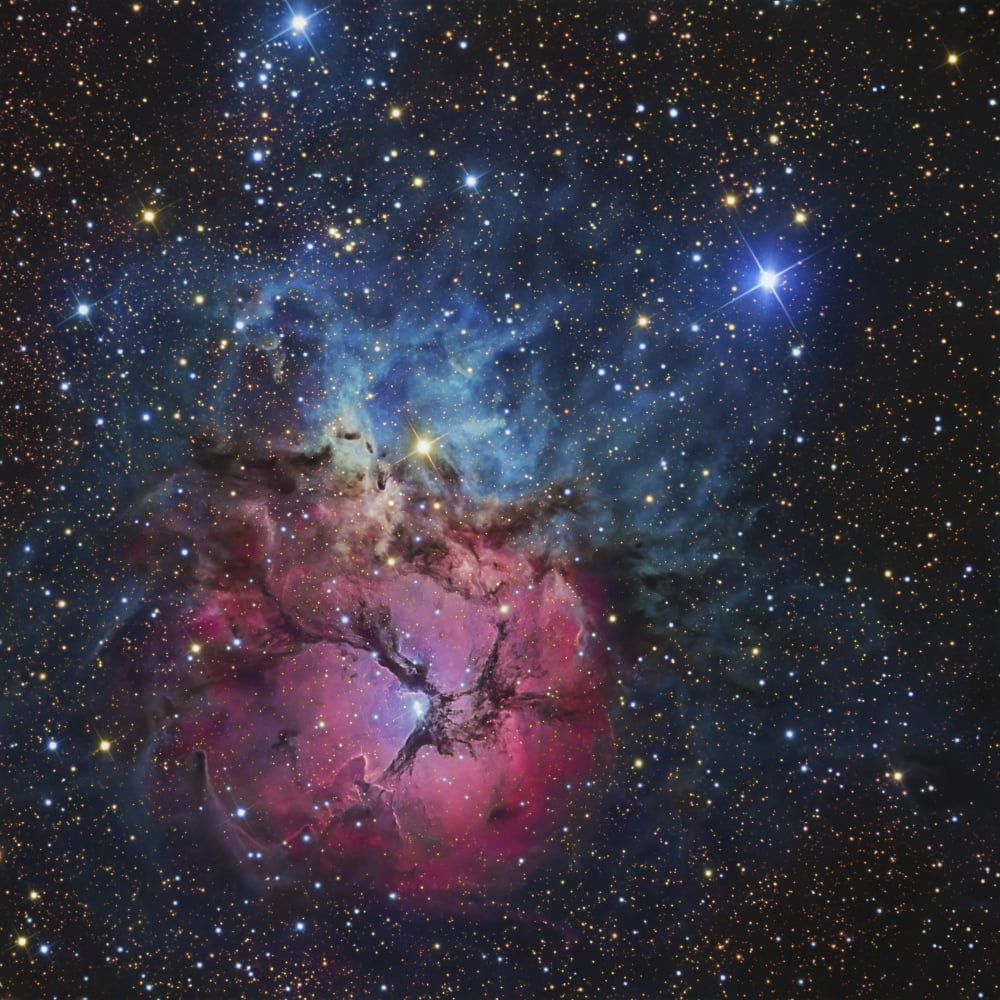 The Trifid Nebula Canvas Art - R Jay GaBanyStocktrek Images (28 x 28)