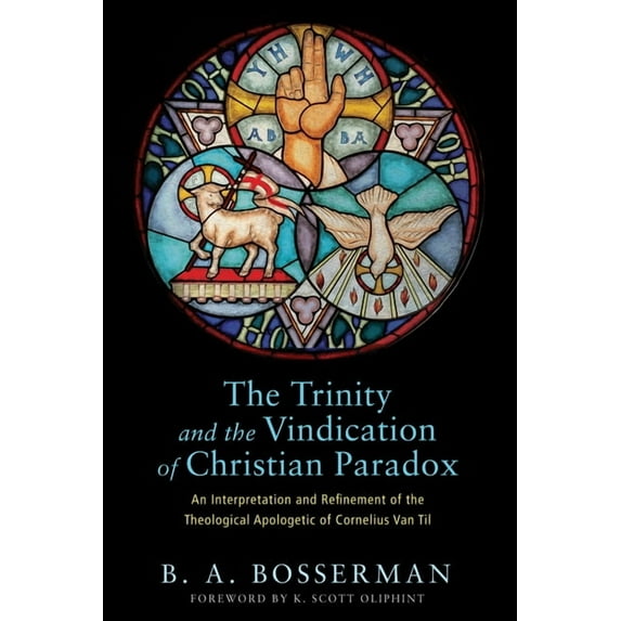 The Trinity and the Vindication of Christian Paradox (Paperback)