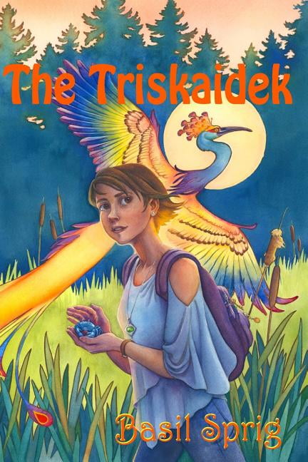 The Triskaidek (Paperback) by Basil Sprig