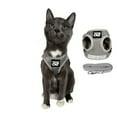thumbnail image 1 of "The True Adventurer" Reflective Cat  Kitten Harness and Leash, 1 of 11