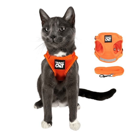 "The True Adventurer" Reflective Cat  Kitten Harness and Leash