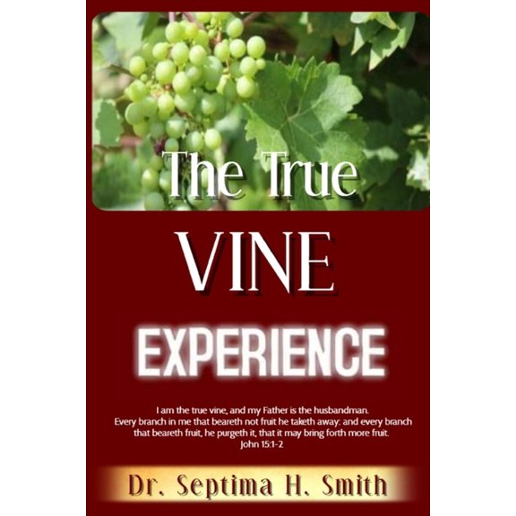 The True Vine Experience (Paperback)