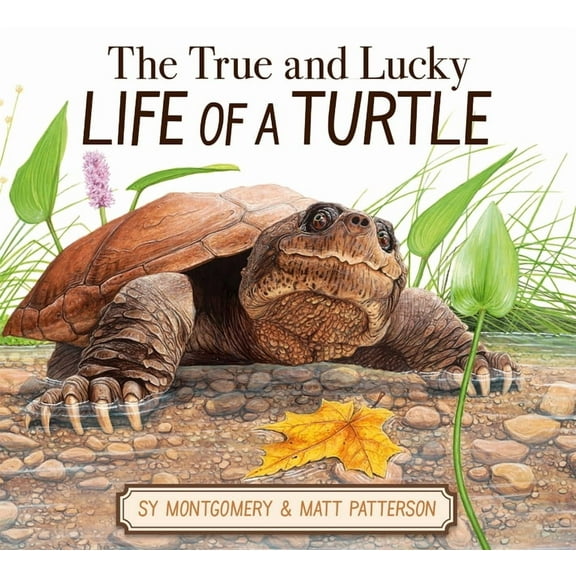 The True and Lucky Life of a Turtle, (Hardcover)