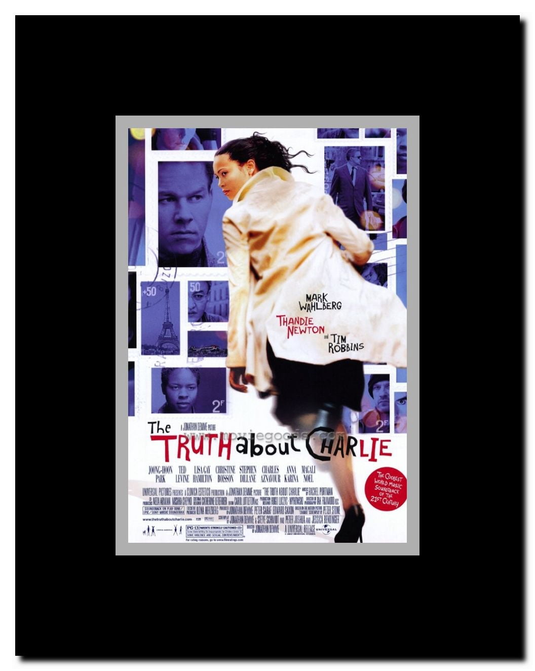 The Truth About Charlie Framed Movie Poster
