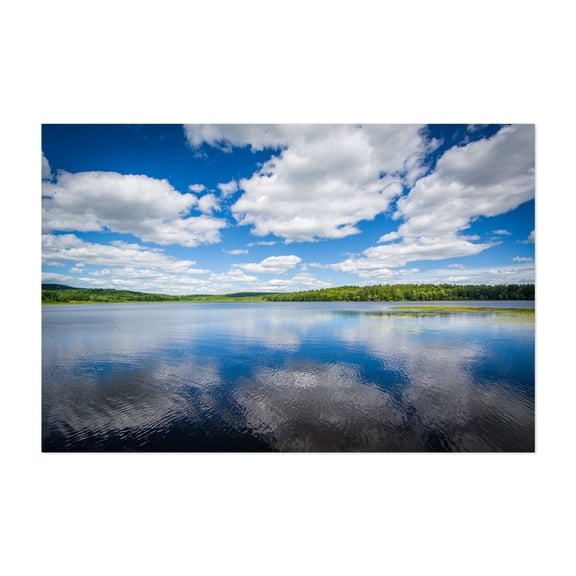 The Turtle Pond - Concord New Hampshire Photography Nature Landscape Scenic Forest Unframed Wall Art Print 4 x 6 inches