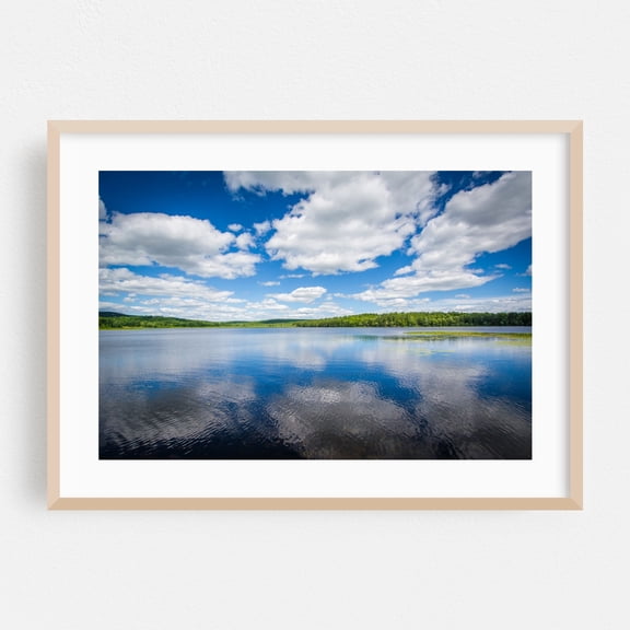 The Turtle Pond - Concord New Hampshire Photography Nature Landscape Scenic Water Forest Oak Framed Wall Art Print 5 x 7 inches