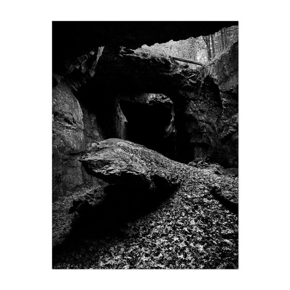 The Twentieth Day of Summer (2025) - Kingston New York Photography Black and White Nature Woodland Moody Autumn Unframed Wall Art Print 5 x 7 inches