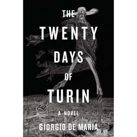 Pre-Owned The Twenty Days of Turin (Hardcover) 1631492292 9781631492297