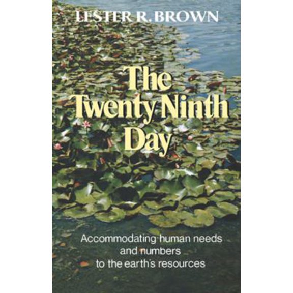 Pre-Owned The Twenty Ninth Day (Paperback) 0393056732 9780393056730