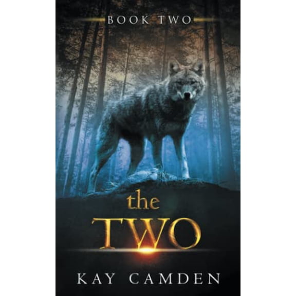 The Two The Alignment Book 2 Paperback Kay Camden