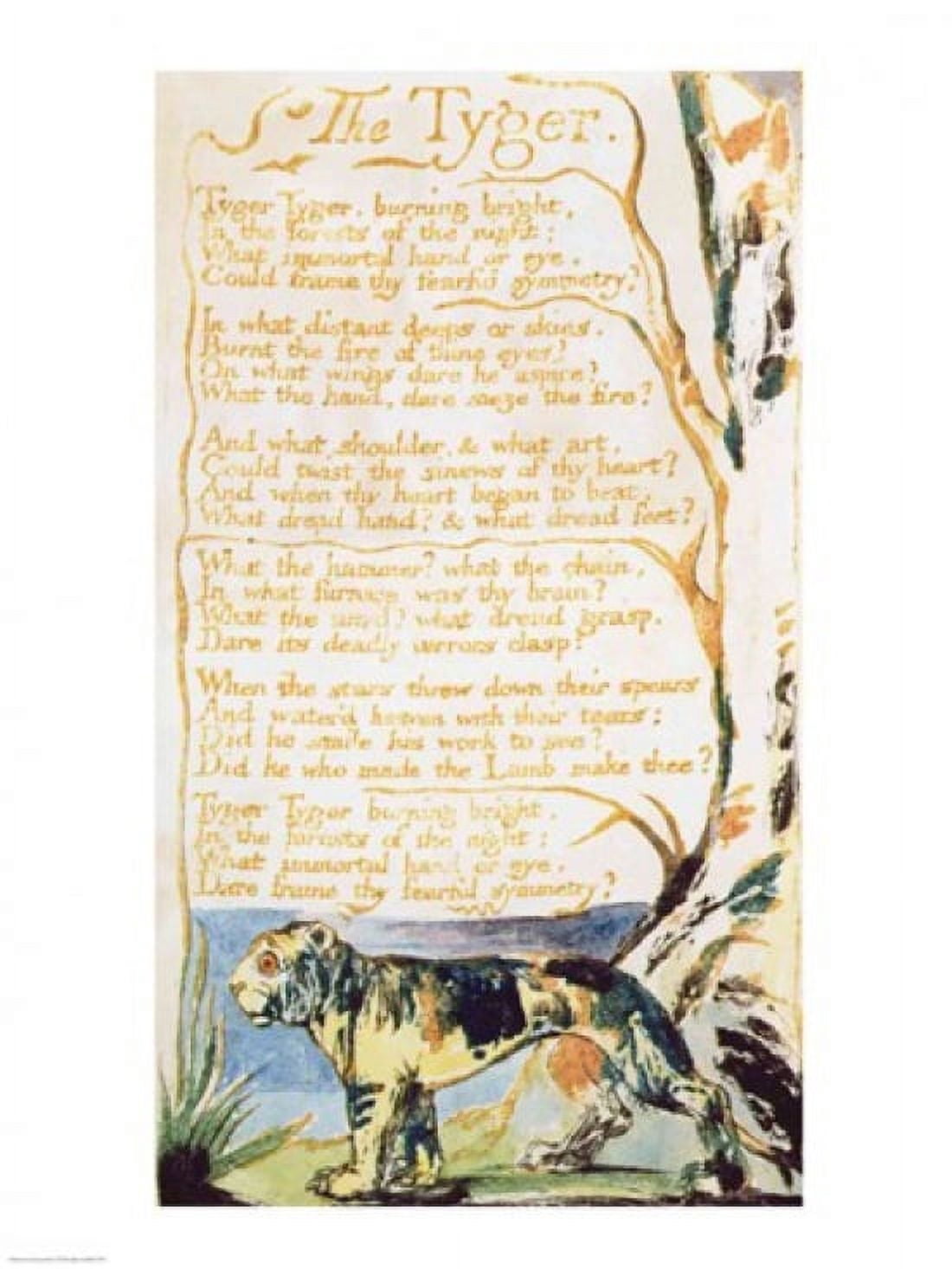 The Tyger from Songs of Innocence Canvas Art - William Blake (18 x 24)
