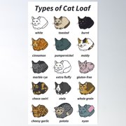 The Types Of Cat Loaf Poster Wall Art, Modern Wall Decor For Living Room Bedroom, 24x36 UNFRAMED