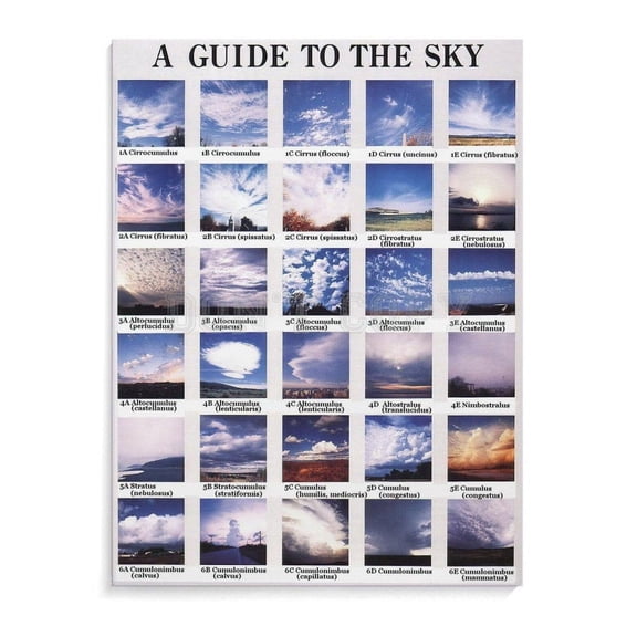 The Types of Clouds Poster,Cloud Chart Poster (1) Canvas Painting Wall Art Poster for Bedroom Living Room Decor