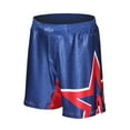 thumbnail image 1 of The U.S.A. Stars Fight Shorts, 1 of 4