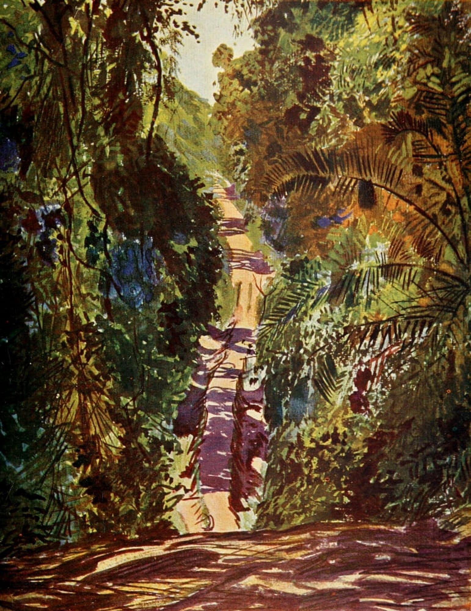 The Uganda Protectorate 1902 Causeway through a swampy forest Uganda Canvas Art - Sir Harry Johnston (18 x 24)