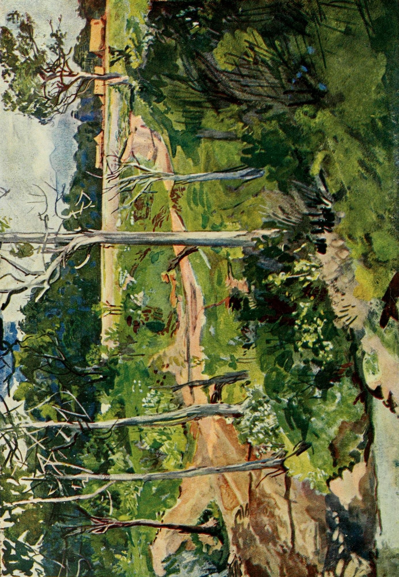 The Uganda Protectorate 1902 Landscape on the Mau Plateau Canvas Art - Sir Harry Johnston (18 x 24)