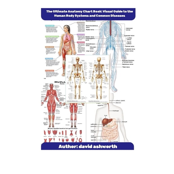 The Ultimate Anatomy Chart Book: Visual Guide to the Human Body Systems and Common Disease, (Paperback)