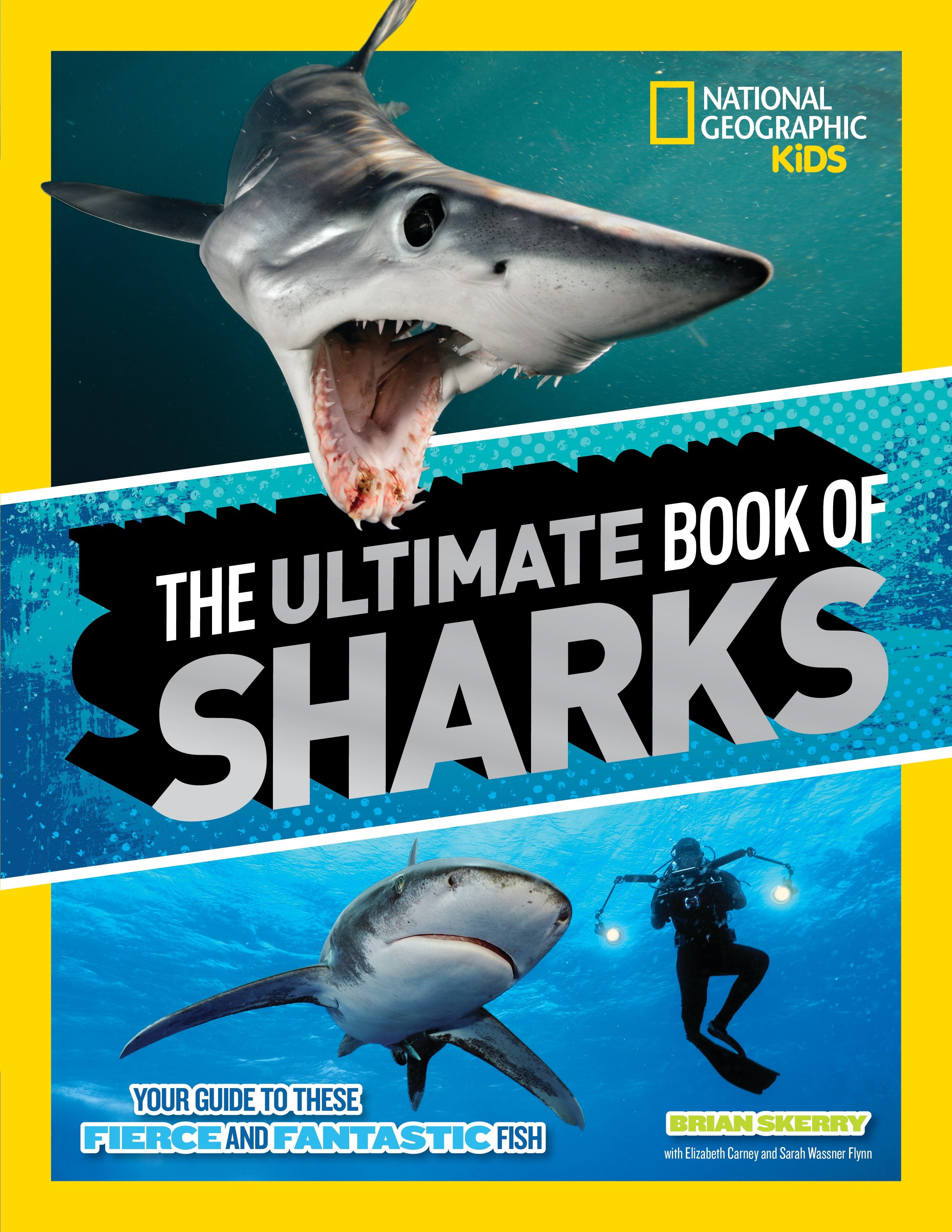 Shark Attack!: Scholastic: 9781338323016: : Books