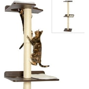 The Ultimate Cat Climber