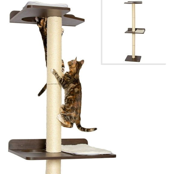 The Ultimate Cat Climber