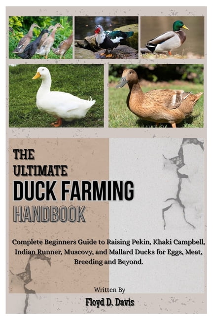 The Ultimate Duck Farming Handbook: Complete Beginners Guide to Raising ...