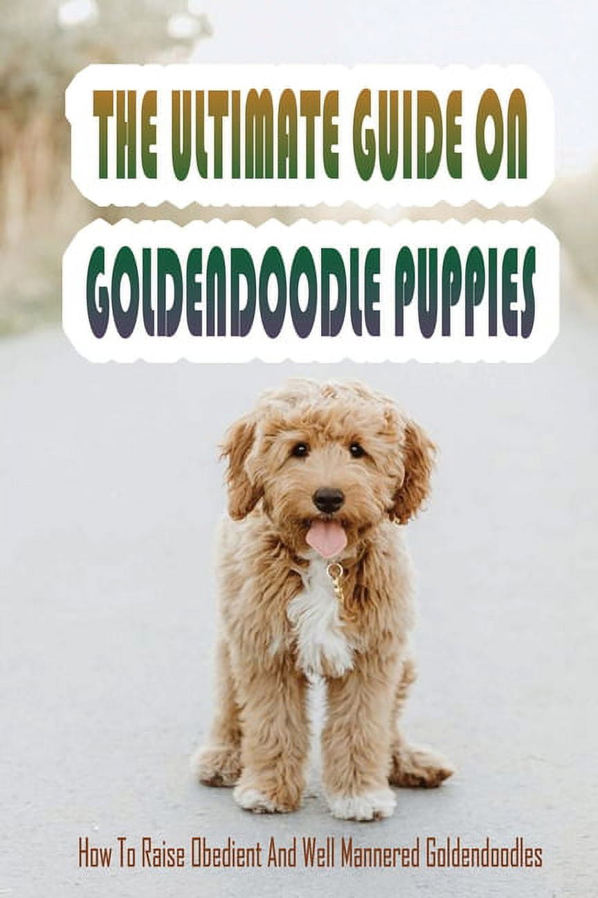 Raising hotsell a goldendoodle