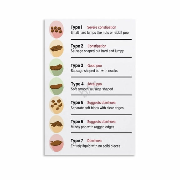 The Ultimate Guide to Poop Bristol Stool Chart Digestive Health Educational Poster (1) Canvas for Living Room Bedroom Decor