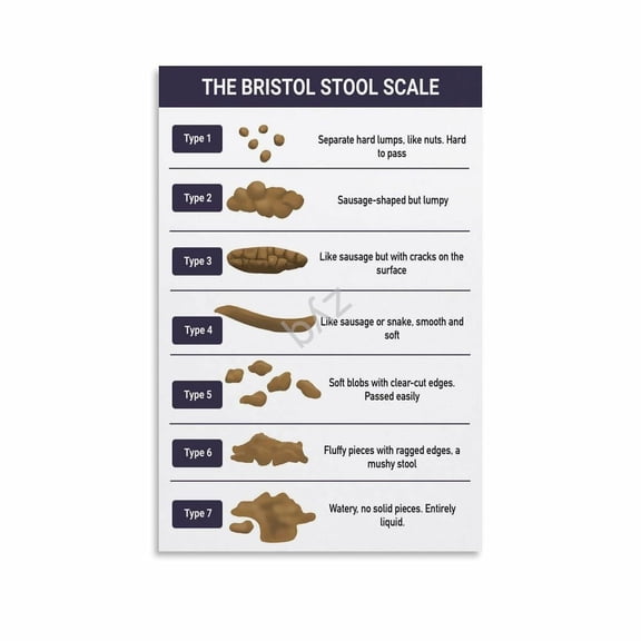 The Ultimate Guide to Poop Bristol Stool Chart Digestive Health Educational Poster (4) Canvas for Living Room Bedroom Decor
