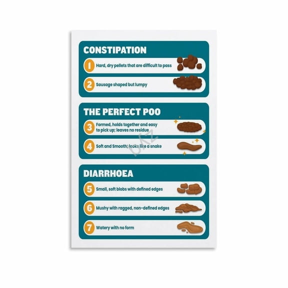 The Ultimate Guide to Poop Bristol Stool Chart Digestive Health Educational Poster (7) Canvas Painting Wall Art