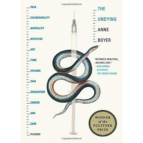 The Undying : Pain, vulnerability, mortality, medicine, art, time, dreams, data, exhaustion, cancer, and care (Paperback)