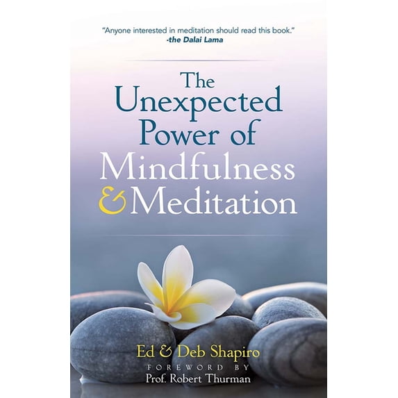 The Unexpected Power of Mindfulness and Meditation (Paperback)