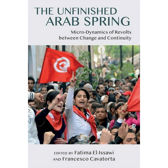 The Unfinished Arab Spring : Micro-Dynamics of Revolts between Change and Continuity (Hardcover)