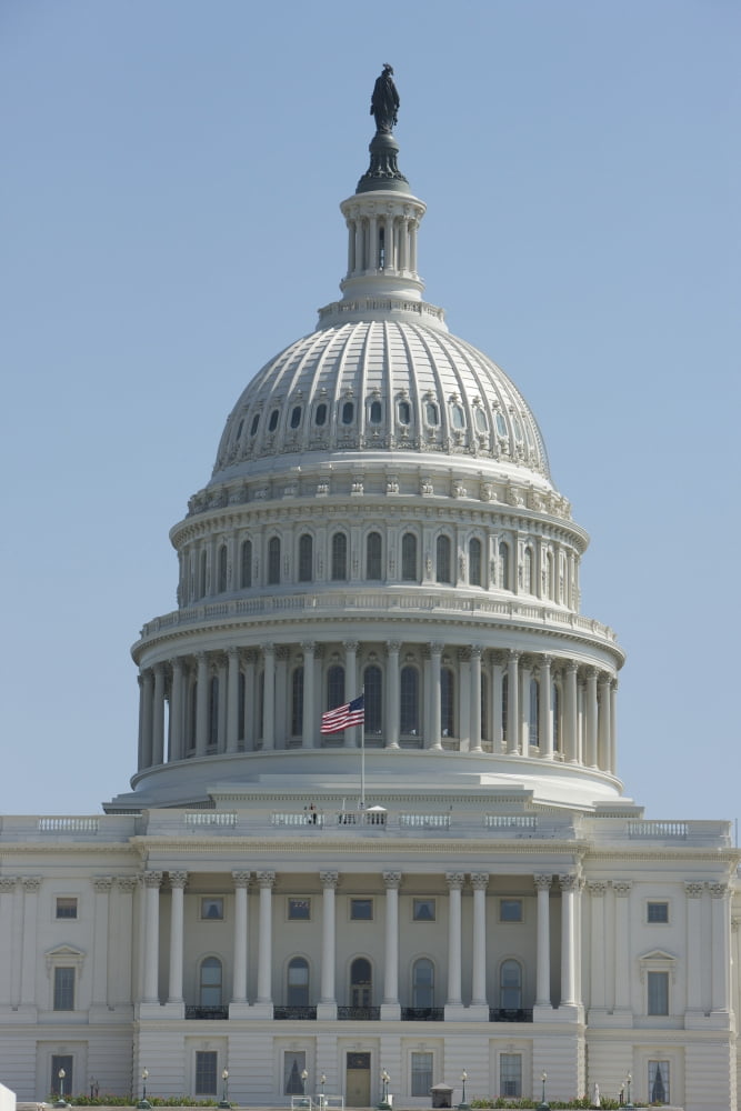 The United States Capitol building dome and statue Canvas Art - Terry MooreStocktrek Images (12 x 18)