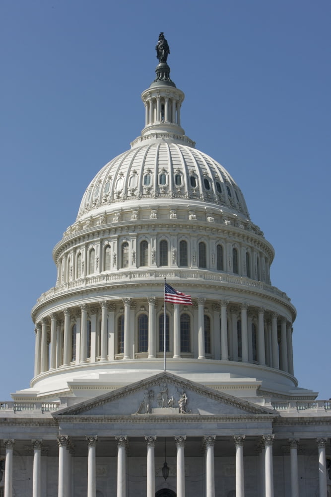 The United States Capitol building dome and statue Canvas Art - Terry MooreStocktrek Images (12 x 18)