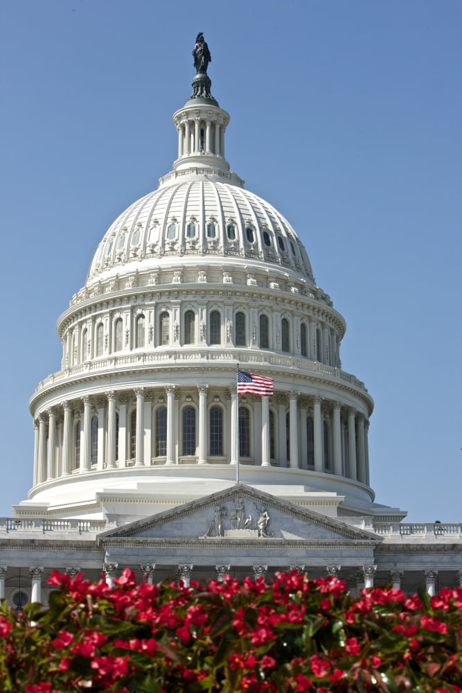 The United States Capitol building dome and statue Canvas Art - Terry MooreStocktrek Images (12 x 18)