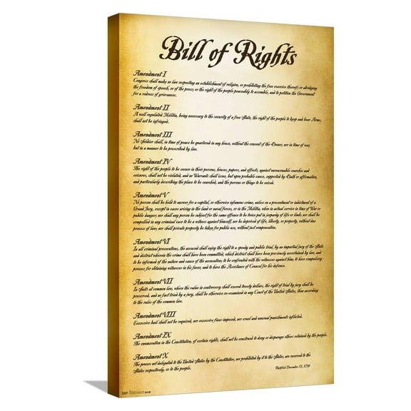 The United States of America - Bill of Rights Canvas Wall Poster, 14.725" x 22.375"
