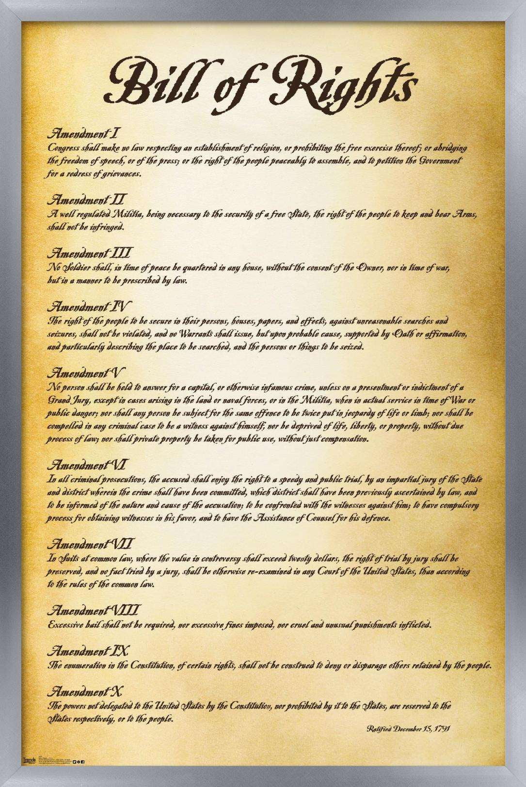 The United States of America - Bill of Rights Wall Poster, 14.725" x 22.375", Framed