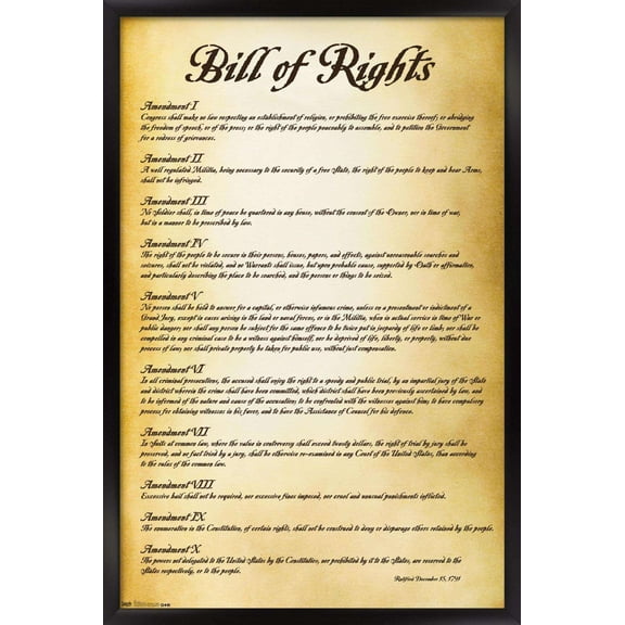 The United States of America - Bill of Rights Wall Poster, 14.725" x 22.375", Framed
