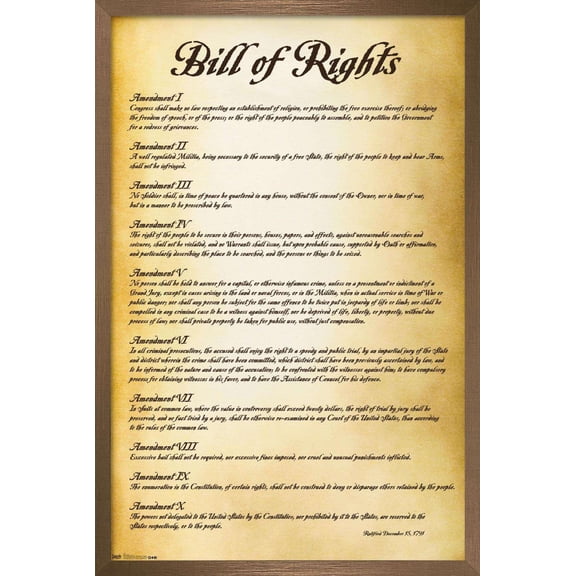 The United States of America - Bill of Rights Wall Poster, 14.725" x 22.375", Framed