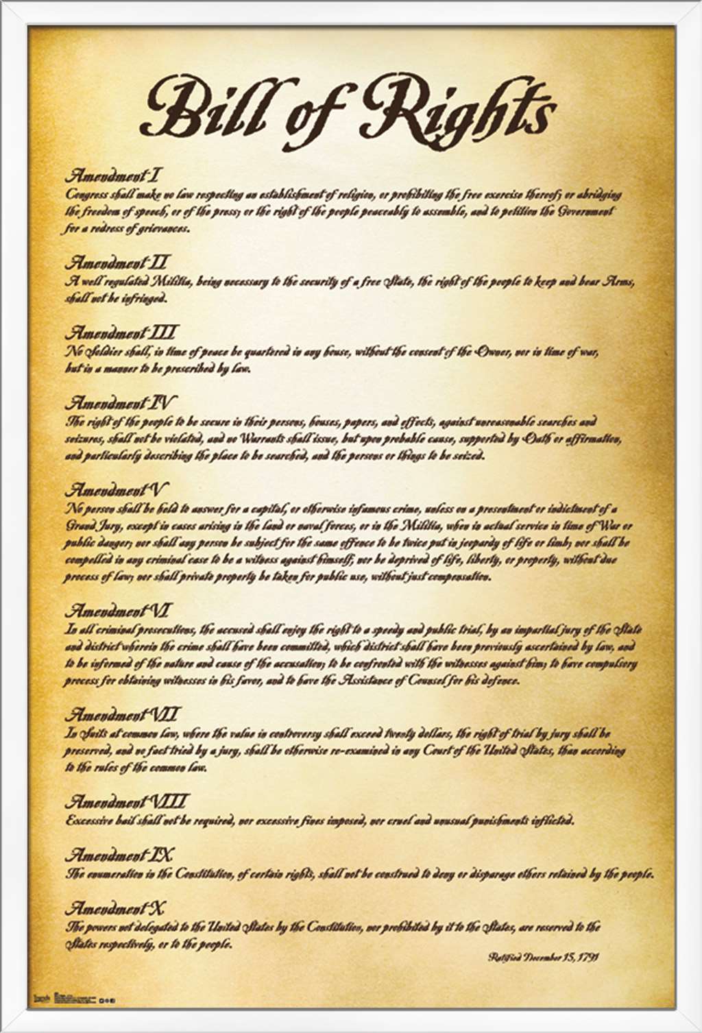 The United States of America - Bill of Rights Wall Poster, 22.375" x 34", Framed