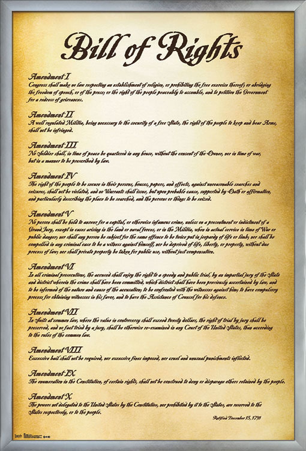 The United States of America - Bill of Rights Wall Poster, 22.375" x 34", Framed