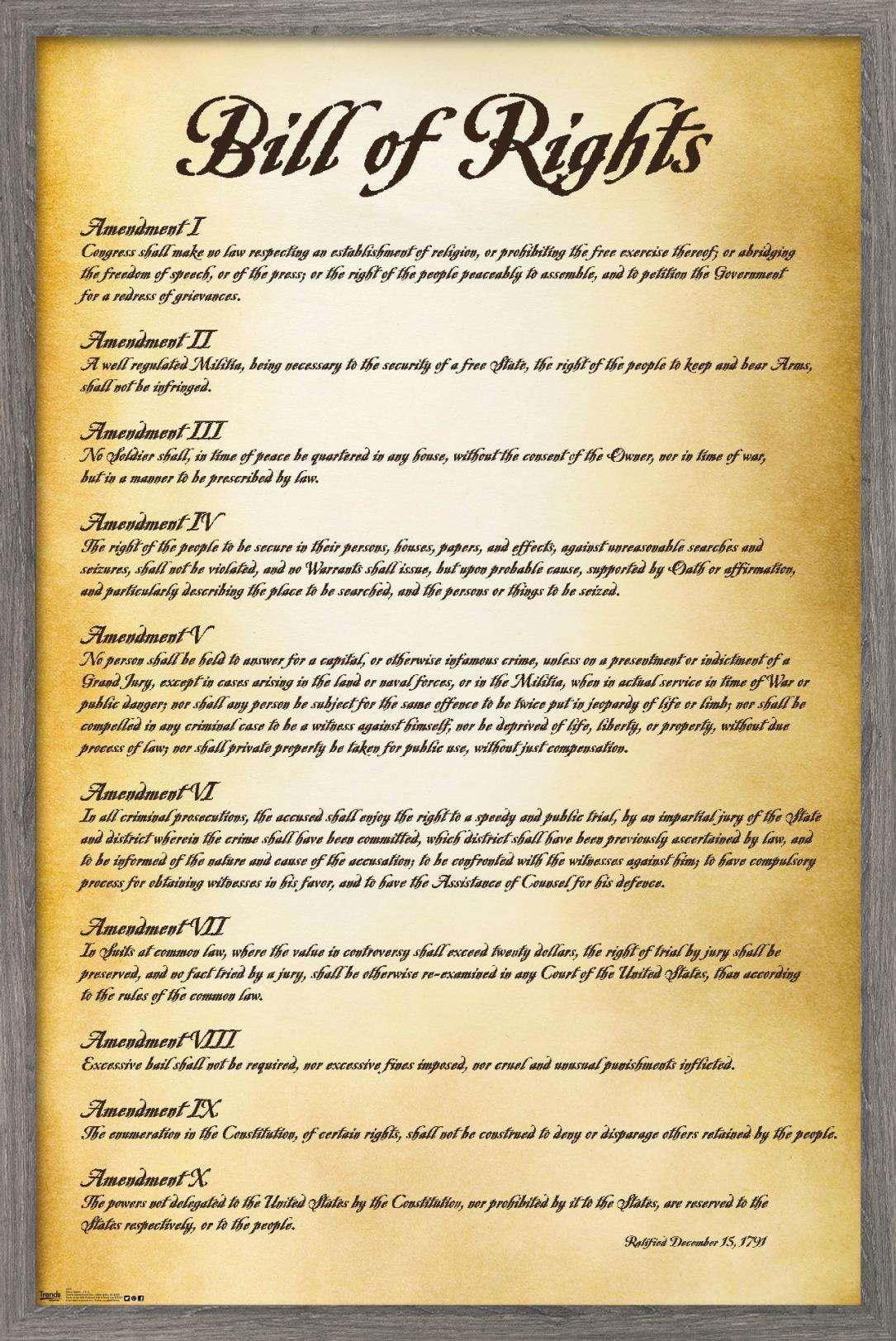 The United States of America - Bill of Rights Wall Poster, 22.375" x 34 ...